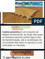 Agronegócio e Expansao Agricola 2