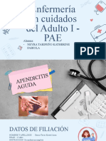 Pae Apendicitis