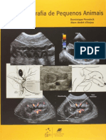 Atlas de Ultrassonografia em Pequenos Animais-Penninck