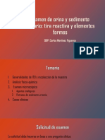 Examen de Orina y Sedimento Urinario