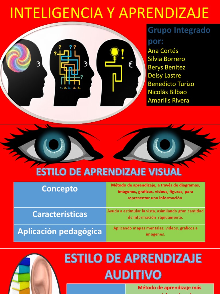 Estilos de Aprendizaje y su Aplicación | PDF | Aprendizaje | Concepto