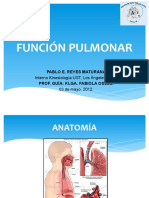 Función Pulmonar