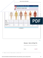 System in The Human Body Worksheet