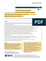 S4 - The Role of Advanced Glycation End Products in The Development of Coronary Artery Disease in Patients With and Without Diabetes Mellitus 2