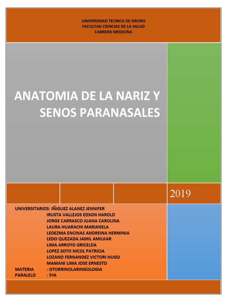 ANATOMIA DE LA NARIZ | PDF | Anatomía humana | Cabeza y cuello humanos