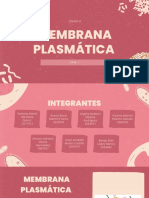 Presentacion Celulas y Bacterias Ilustrativo Rosa