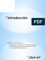 2primera Clase Introducción Procesos Cognitivos