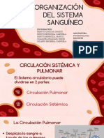 Fisiopatologia Exposición