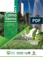 Informe Ambiental Cali Cómo Vamos - 2022