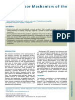 Mecanismo Extensor de La Rodilla