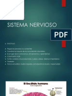 Sistema Nervioso 6o (1)