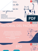 Historial Del Paciente