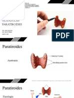 Cirugia Glandula Paratiroides 