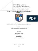 INFORME DE INFLUENCIA DE LOS FACTORES DE FORMACIÓN DEL SUELO - Robles Rojas Relly