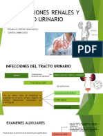 Complicaciones Renales Y Del Tracto Urinario: - Frisancho Centeno Winie Nayely - Zapata Chambi Diego