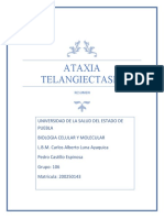 Ataxia Telangiectasia