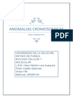 Anomalias Cromosomicas