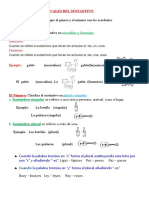 Accidentes Gramaticales Del Sustantivo