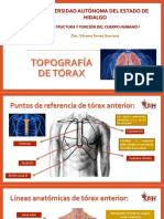 Anatomía Topográfica de Tórax Uaeh