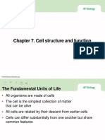 Chapter 7 Cell Structure and Function