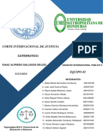 Proyecto Final Internacional Publico II .