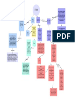 Mapa Conceptual