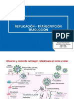 3 - Replicación-Transcripción y Traducción