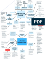 Mapa Mental Endodontia