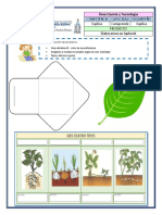 Ficha Sistema Reproductor Plantas