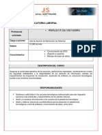 FORMATO DE CONVOCATORIA LABORAL Profesio