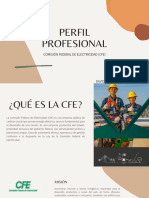 Perfil Profesional Cfe