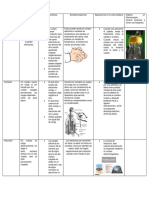 Formas de Electrización de Los Cuerpos