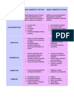 Cuadro Comparativo Del Medio Ambiente Natural y Cultural