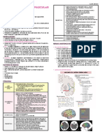 Apuntes ECV Isquemica