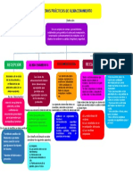 Mapa Conceptual