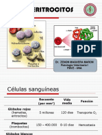 Tema 3 ERITROCITOS
