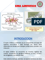 TEMA9SISTEMALINFATICO