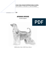 Afghan Hound