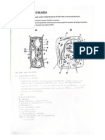 Exercici de Citologia