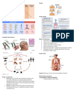 W9 - Epidemiology and Antibiotic Resistance