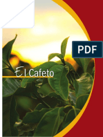 Manual-Cafe-Colombiano Morfologia y Ecofisiologia