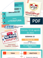 Cem Int 1 - Literatura-Ppt Sem 24