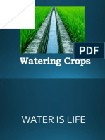 Watering Crops