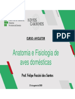 Aula 5 Anatomia e Fisiologia