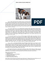 PDF Teks Laporan Hasil Observasi Kucing