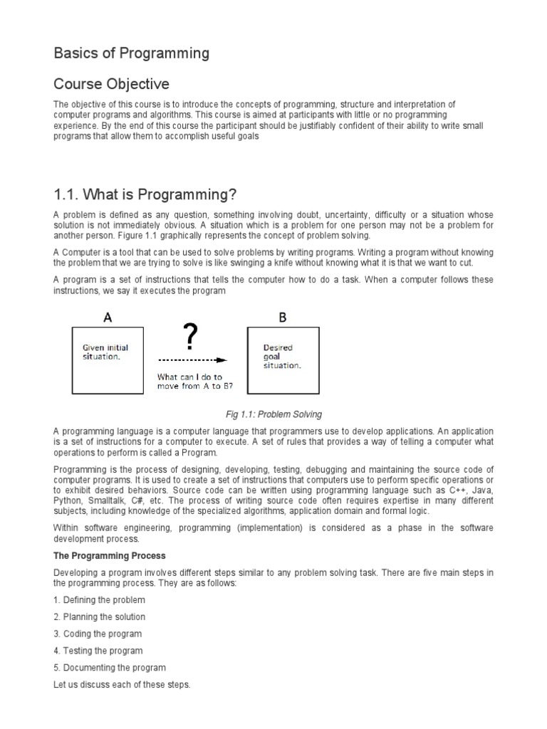 Basics of Programming | PDF | Software Testing | Programming