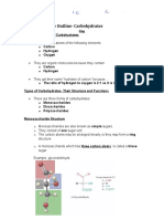 Notes2 - CarbohydratesKey (Clean) 2