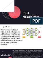 Red Neuronal
