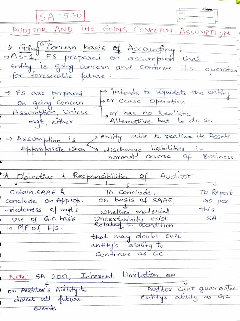 Auditor's Guide to Going Concern | PDF | Financial Accounting | Balance ...