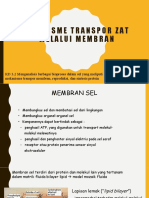 SEL Transpor Membran